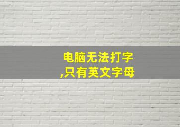 电脑无法打字,只有英文字母