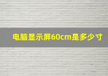 电脑显示屏60cm是多少寸