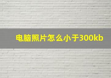 电脑照片怎么小于300kb