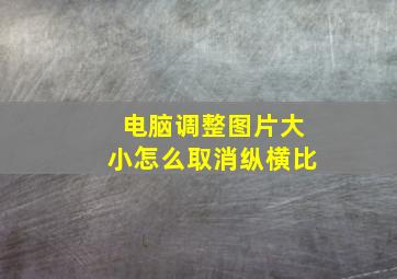 电脑调整图片大小怎么取消纵横比