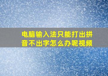 电脑输入法只能打出拼音不出字怎么办呢视频