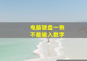 电脑键盘一侧不能输入数字