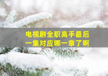 电视剧全职高手最后一集对应哪一章了啊