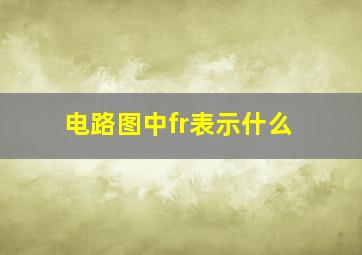 电路图中fr表示什么