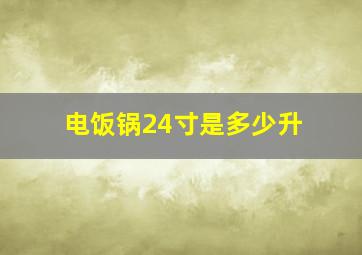 电饭锅24寸是多少升