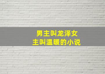 男主叫龙泽女主叫温暖的小说