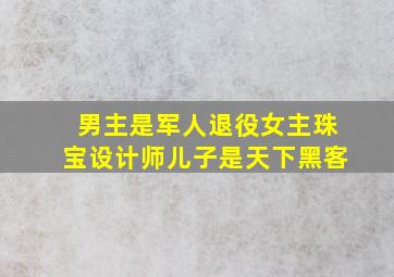 男主是军人退役女主珠宝设计师儿子是天下黑客