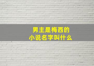 男主是梅西的小说名字叫什么