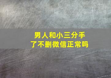 男人和小三分手了不删微信正常吗