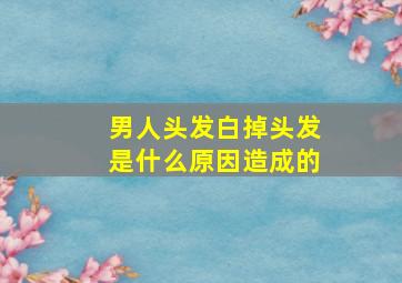 男人头发白掉头发是什么原因造成的