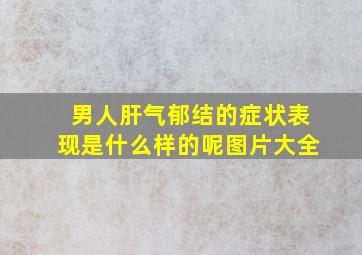 男人肝气郁结的症状表现是什么样的呢图片大全