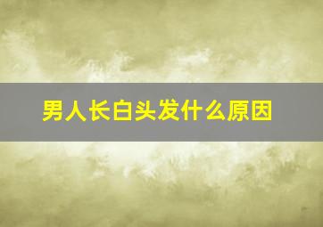 男人长白头发什么原因