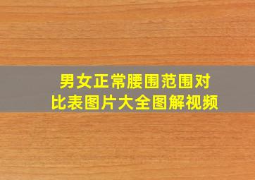 男女正常腰围范围对比表图片大全图解视频