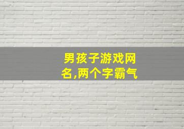 男孩子游戏网名,两个字霸气