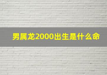 男属龙2000出生是什么命