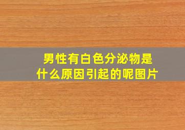 男性有白色分泌物是什么原因引起的呢图片