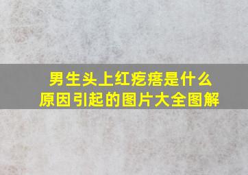 男生头上红疙瘩是什么原因引起的图片大全图解