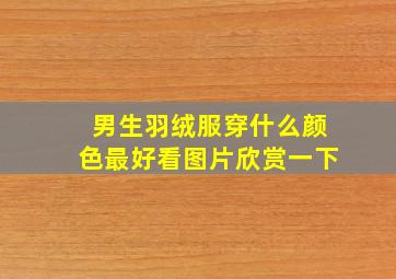 男生羽绒服穿什么颜色最好看图片欣赏一下