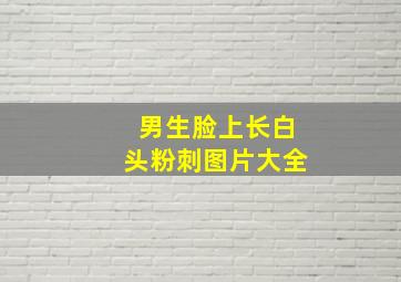 男生脸上长白头粉刺图片大全