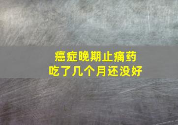 癌症晚期止痛药吃了几个月还没好