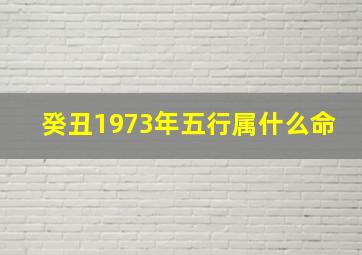 癸丑1973年五行属什么命