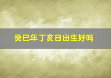 癸巳年丁亥日出生好吗