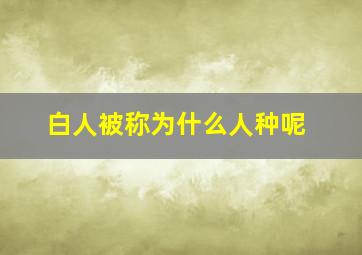 白人被称为什么人种呢