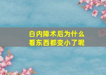 白内障术后为什么看东西都变小了呢