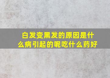 白发变黑发的原因是什么病引起的呢吃什么药好