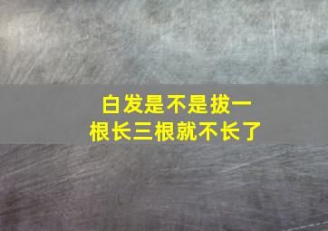 白发是不是拔一根长三根就不长了