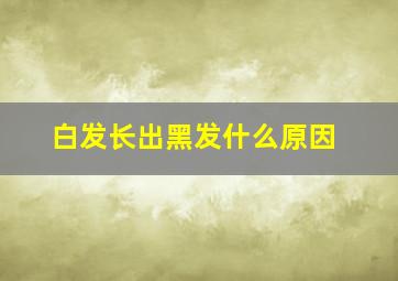 白发长出黑发什么原因