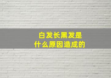 白发长黑发是什么原因造成的