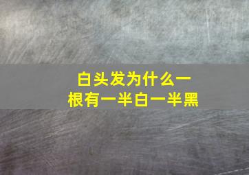 白头发为什么一根有一半白一半黑