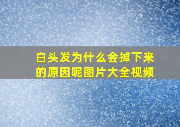 白头发为什么会掉下来的原因呢图片大全视频