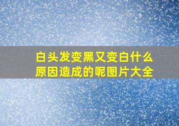 白头发变黑又变白什么原因造成的呢图片大全