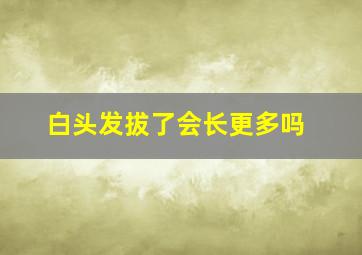 白头发拔了会长更多吗