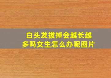 白头发拔掉会越长越多吗女生怎么办呢图片