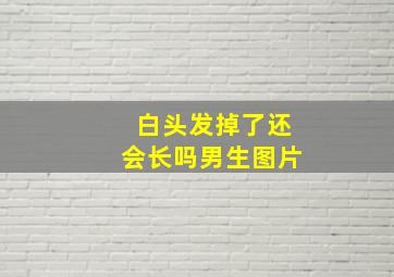 白头发掉了还会长吗男生图片