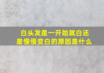 白头发是一开始就白还是慢慢变白的原因是什么