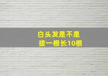 白头发是不是拔一根长10根