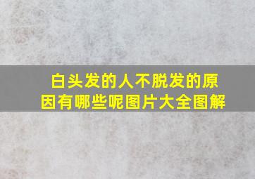 白头发的人不脱发的原因有哪些呢图片大全图解