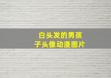 白头发的男孩子头像动漫图片