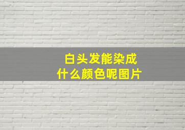 白头发能染成什么颜色呢图片