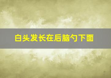 白头发长在后脑勺下面