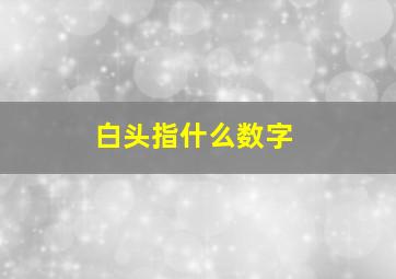 白头指什么数字