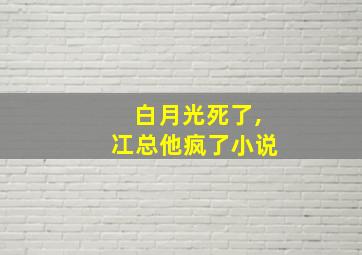 白月光死了,冮总他疯了小说