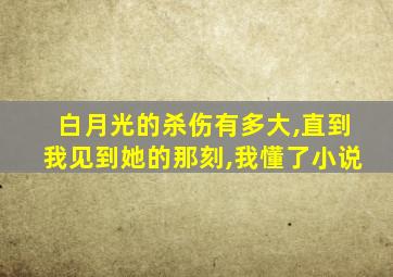 白月光的杀伤有多大,直到我见到她的那刻,我懂了小说