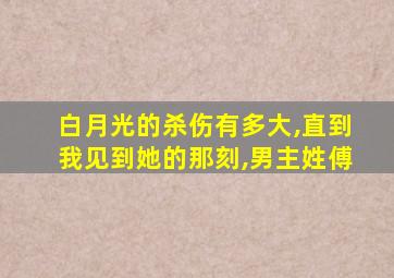 白月光的杀伤有多大,直到我见到她的那刻,男主姓傅