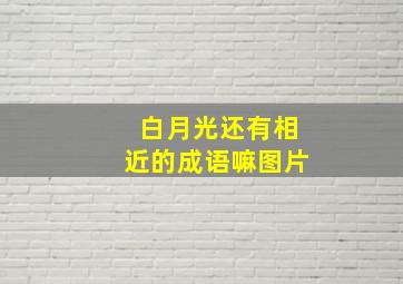 白月光还有相近的成语嘛图片