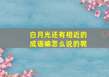 白月光还有相近的成语嘛怎么说的呢